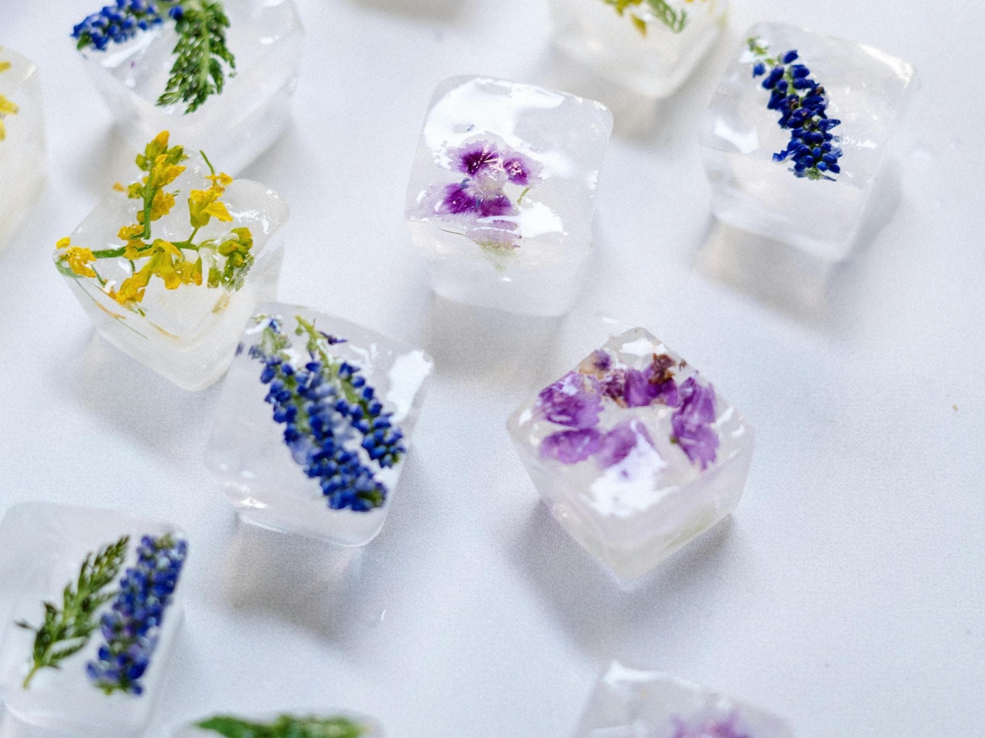 Blumeneiswürfel für stilvolle Sommerdrinks und Aperitivo-Cocktails Eiswürfel mit eingefrorenen bunten Blüten liegen dekorativ auf einer hellen Oberfläche und sorgen für sommerliche Cocktailstimmung.
