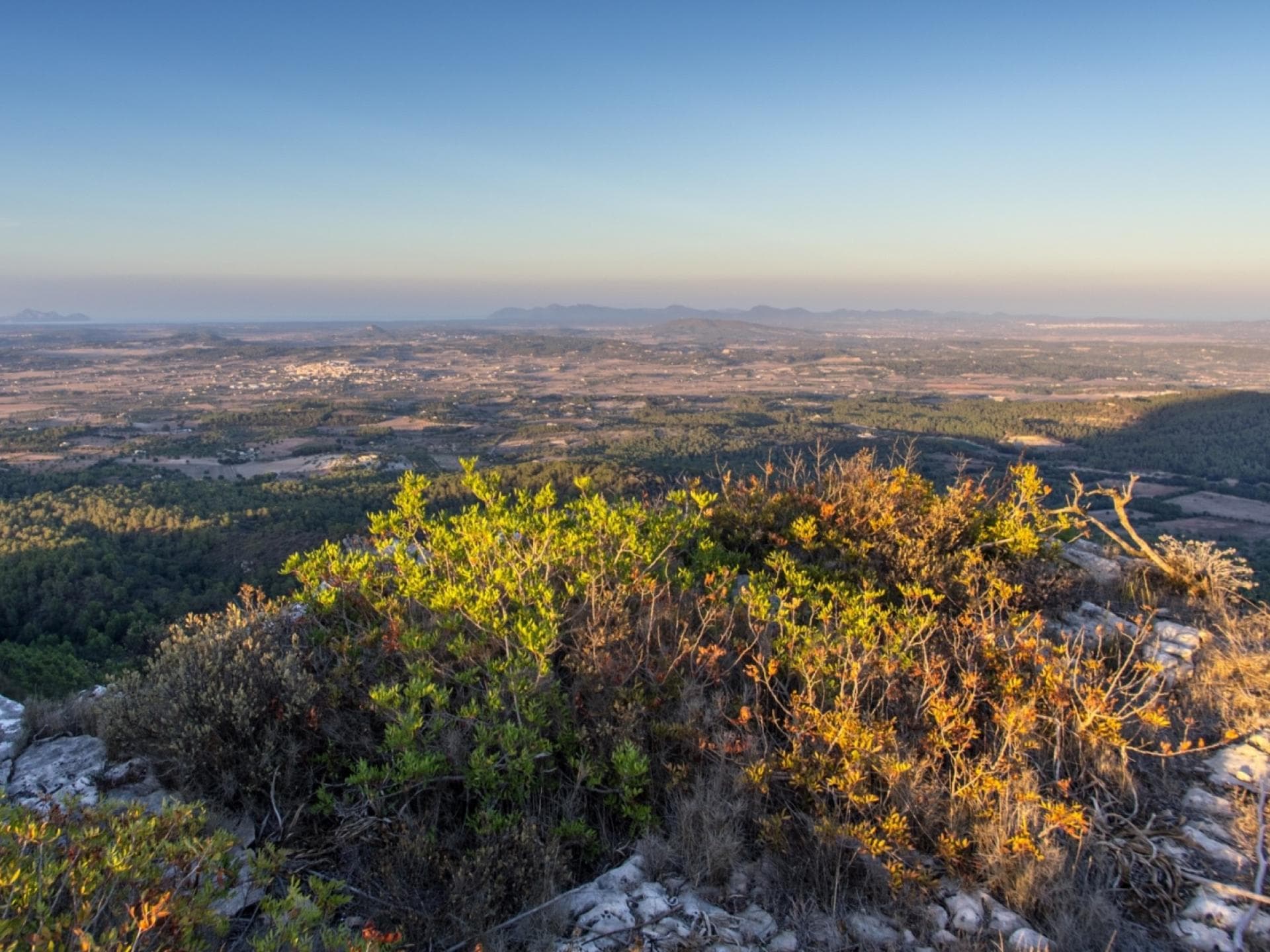 Puig de Randa, der mallorquinische Tafelberg