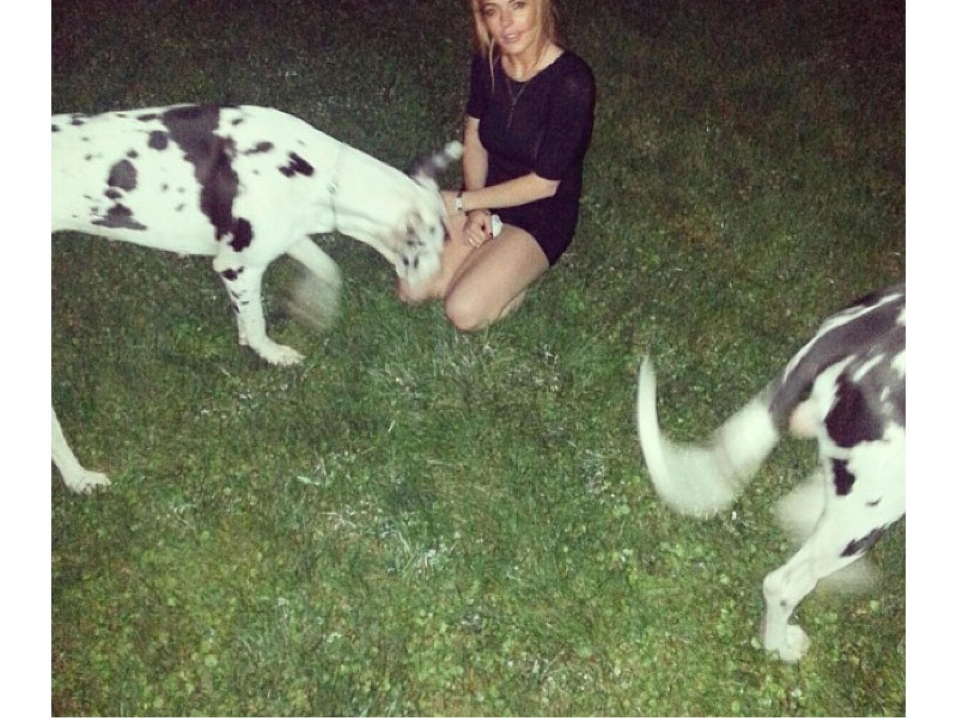 Lindsay Lohan mit zwei riesigen Hunden