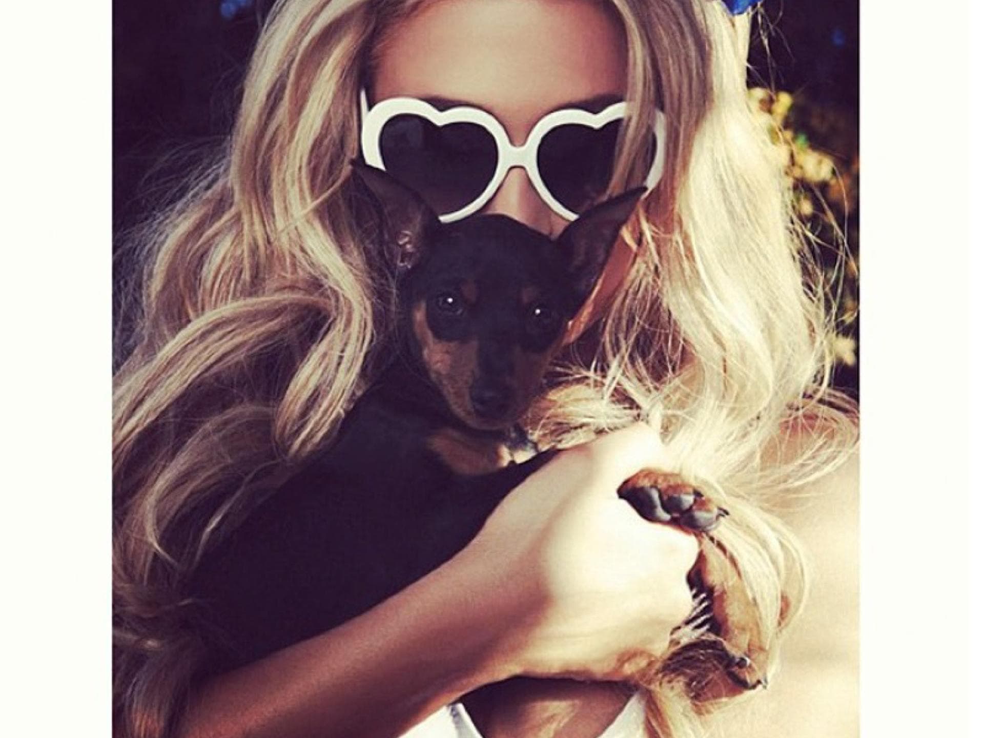 Paris Hilton gibt ihren Hunden immer sehr kreative Namen z.B. Tinkerbell