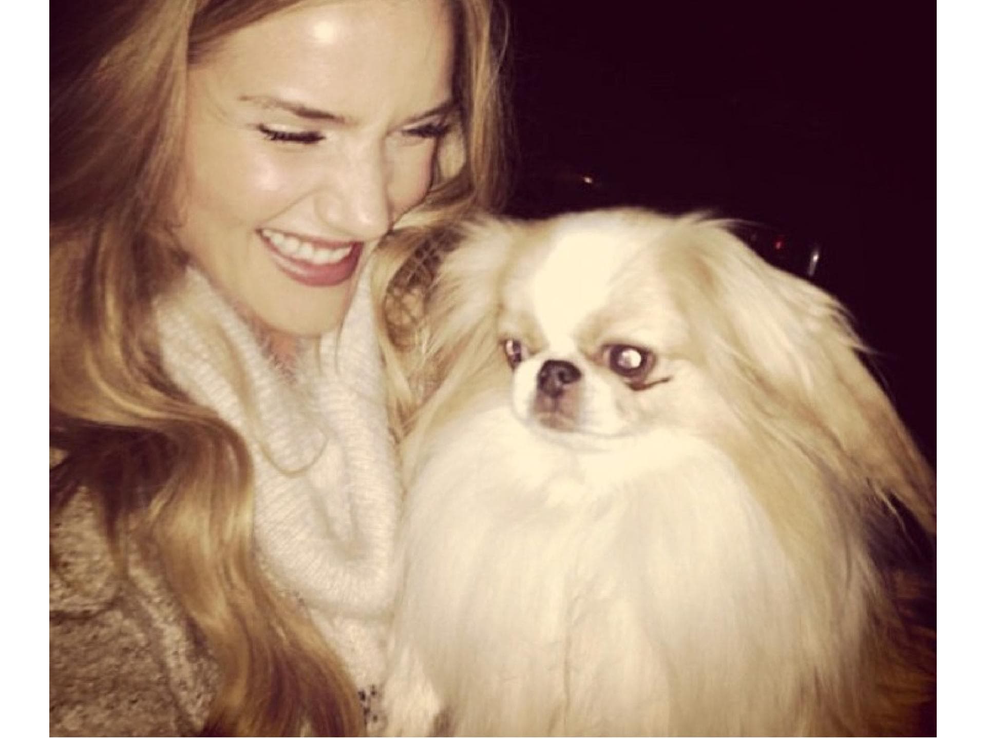 Rosie Huntington-Whiteley mit Wuschelbegleitung