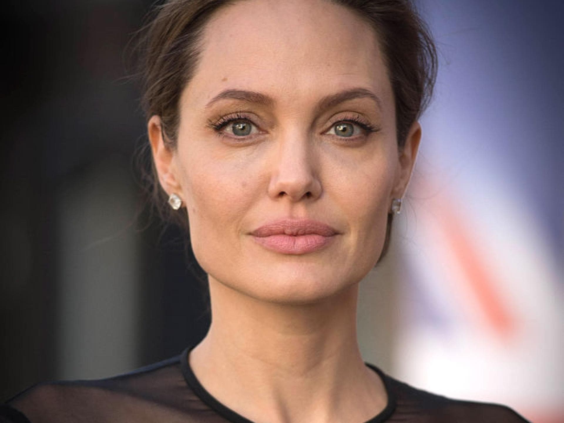 Angelina Jolie ist ein gefeierter Hollywood-Star