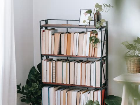 Bücherregal
