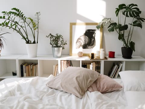 Bett mit Kissen und Pflanzen, die auf enem Regal stehen
