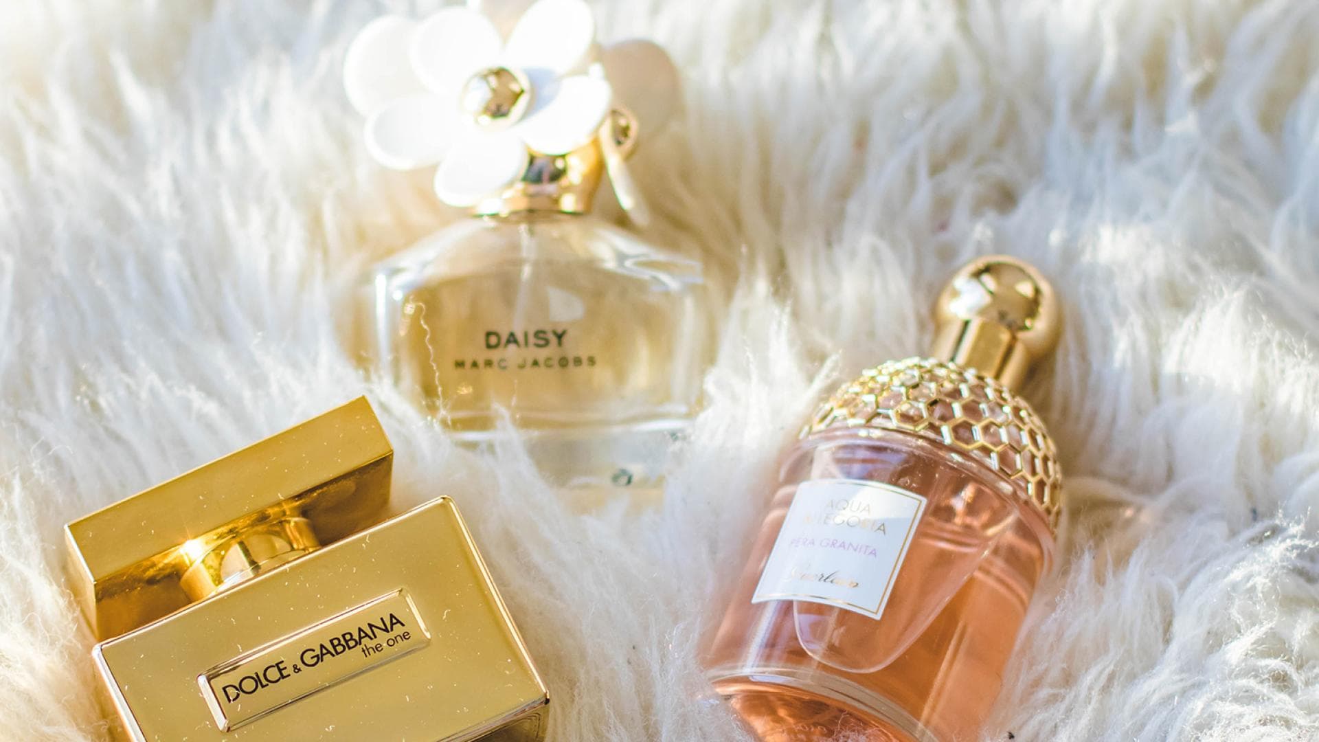 Parfum Klassiker Damen Alles über die beliebtesten Düfte überhaupt