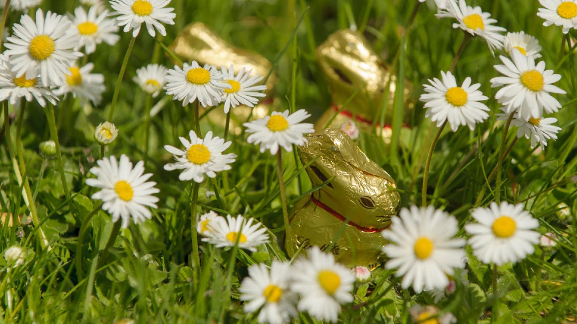10 Dinge, die sie an Ostern tun sollten