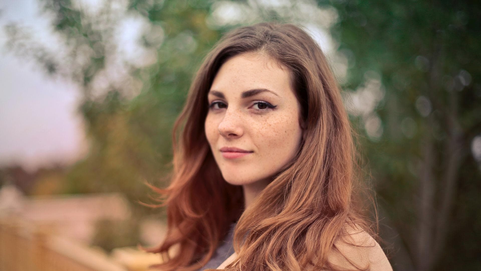 Der Löwe Ist Los Der Löwe Ist Los