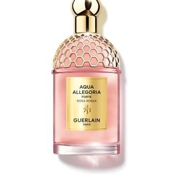 ParfumTrends 2022 7 DuftNeuheiten, die wirklich göttlich sind